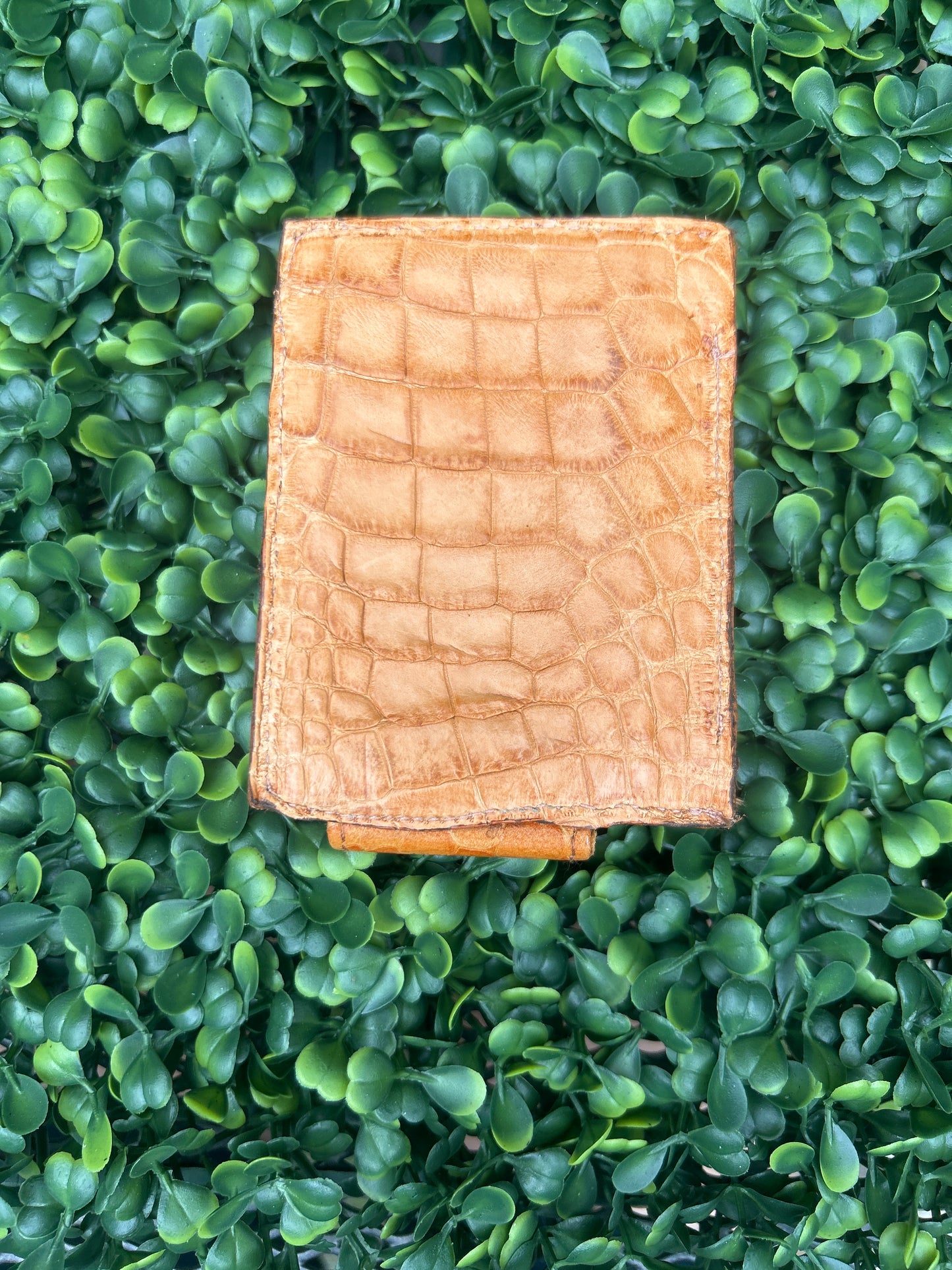 Alligator Money clip peanut Brittle