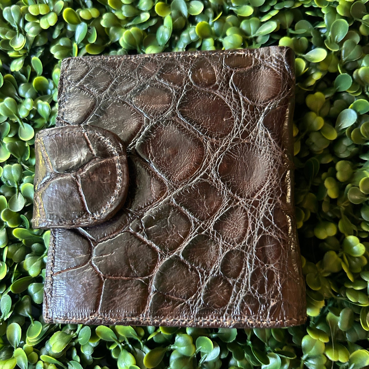 Women’s Alligator  Compact Wallet with Snap Clasp – Handcrafted in Florida (Brown)