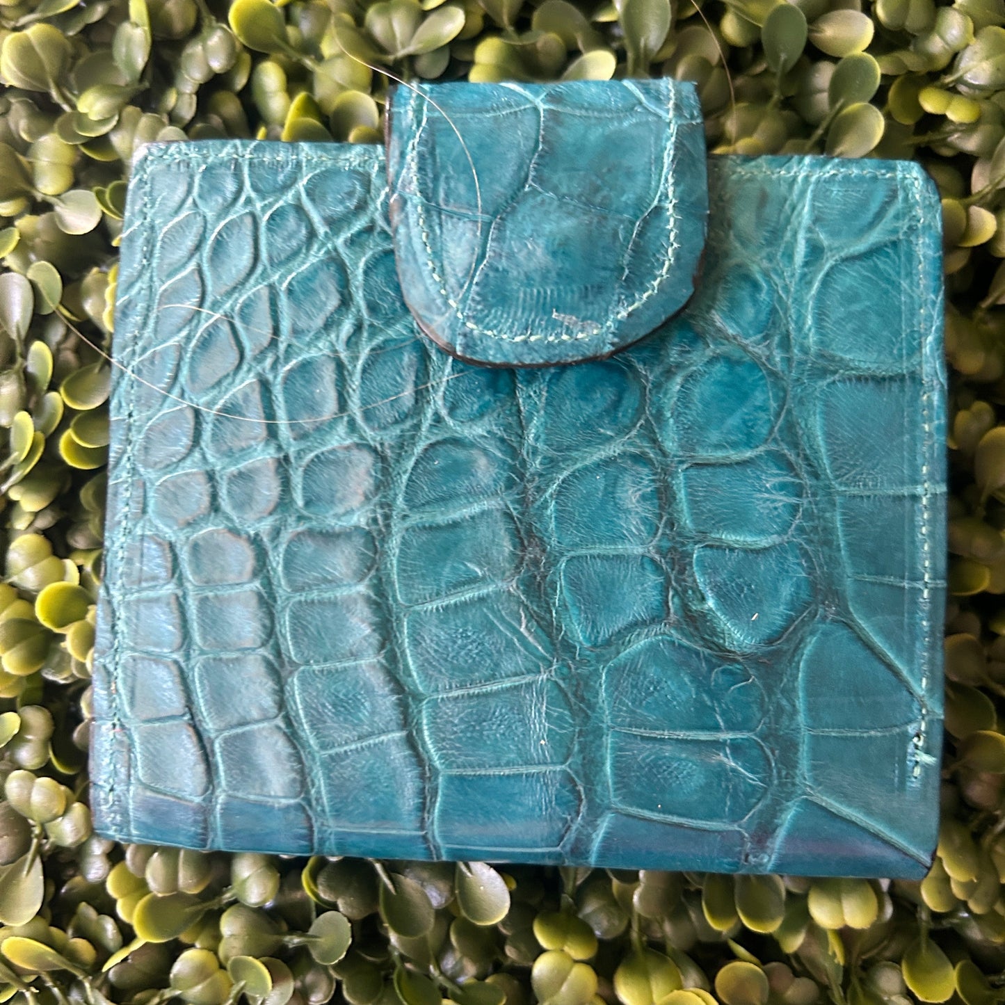 Women's Alligator Compact Wallet with Snap Clasp – Handcrafted in Florida (Teal)
