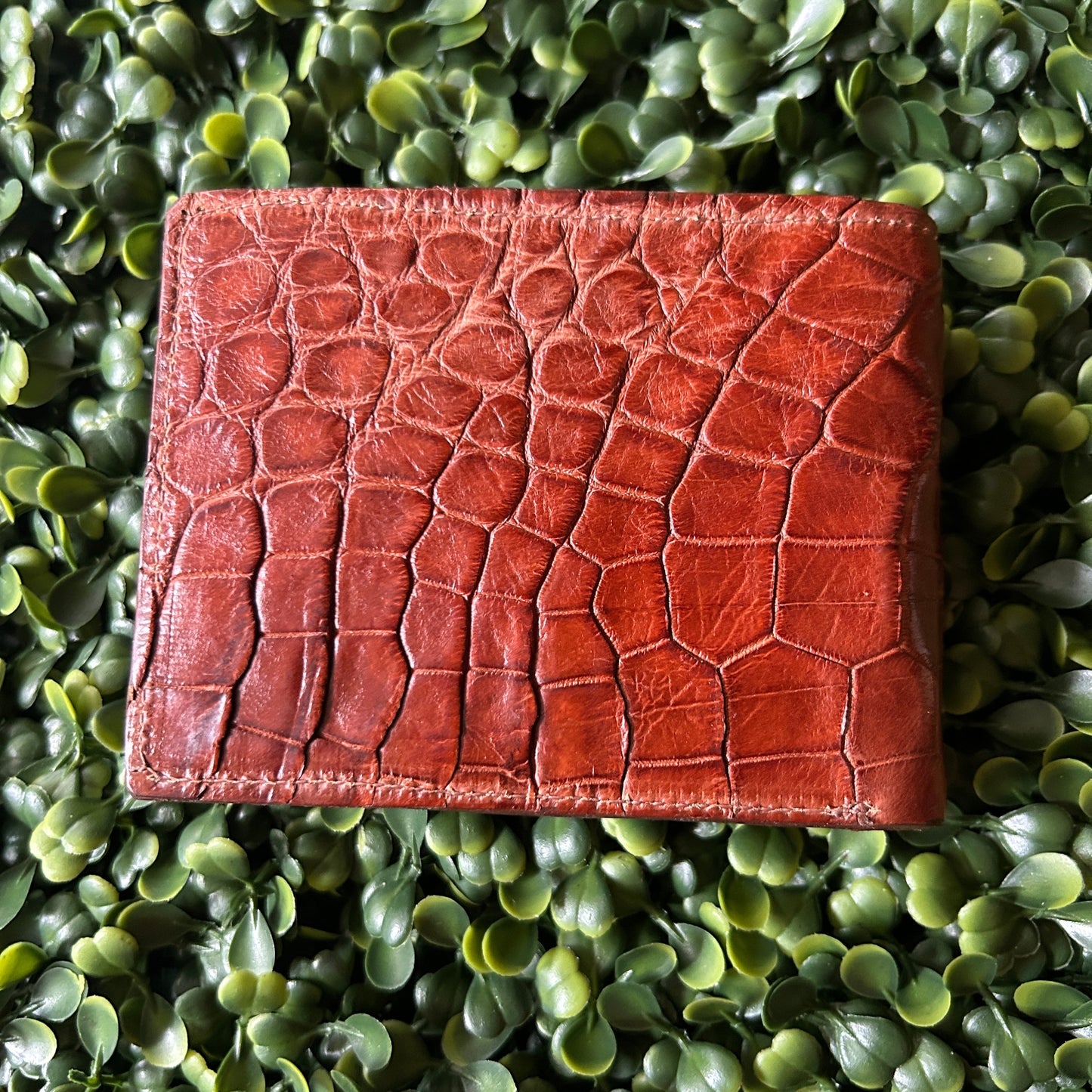 Men’s Alligator  Bifold  Wallet – Tan