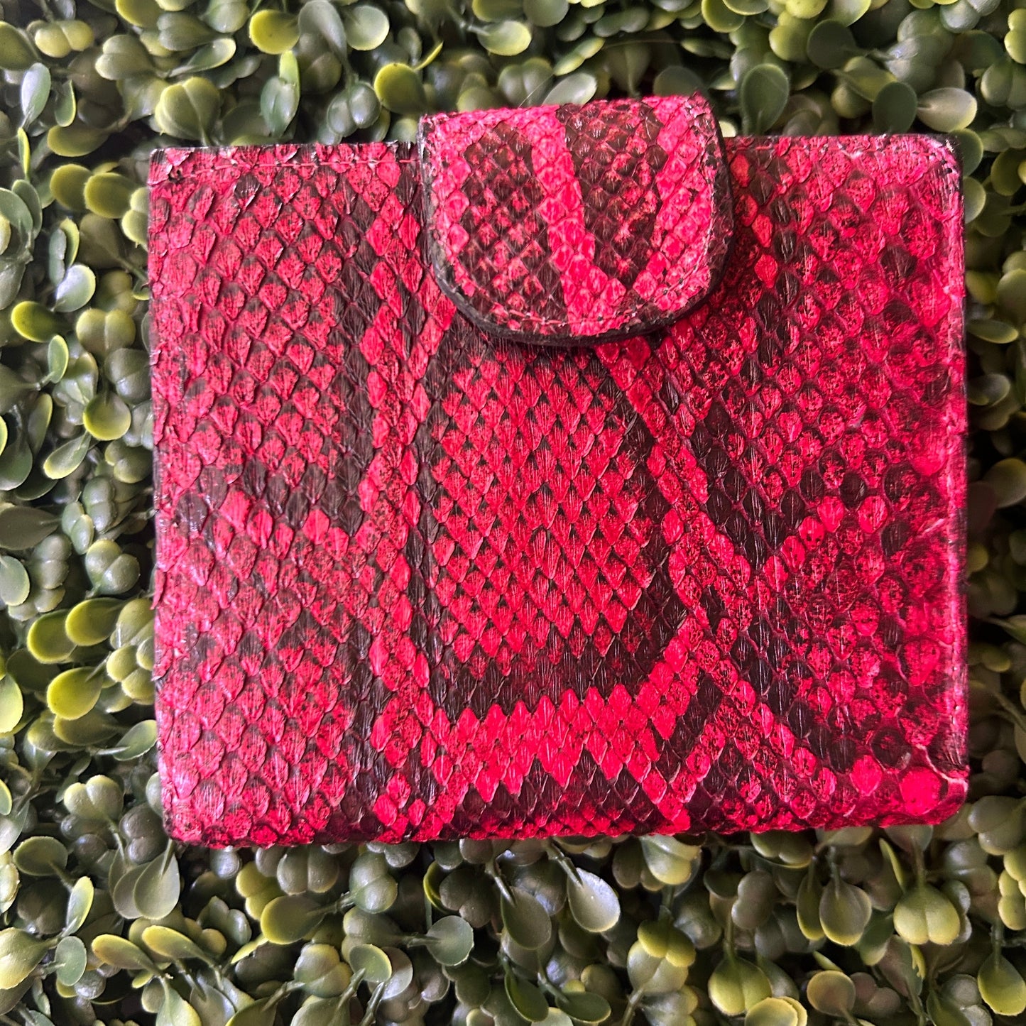 Women's Python Compact Wallet with Snap Clasp – Handcrafted in Florida (Red)