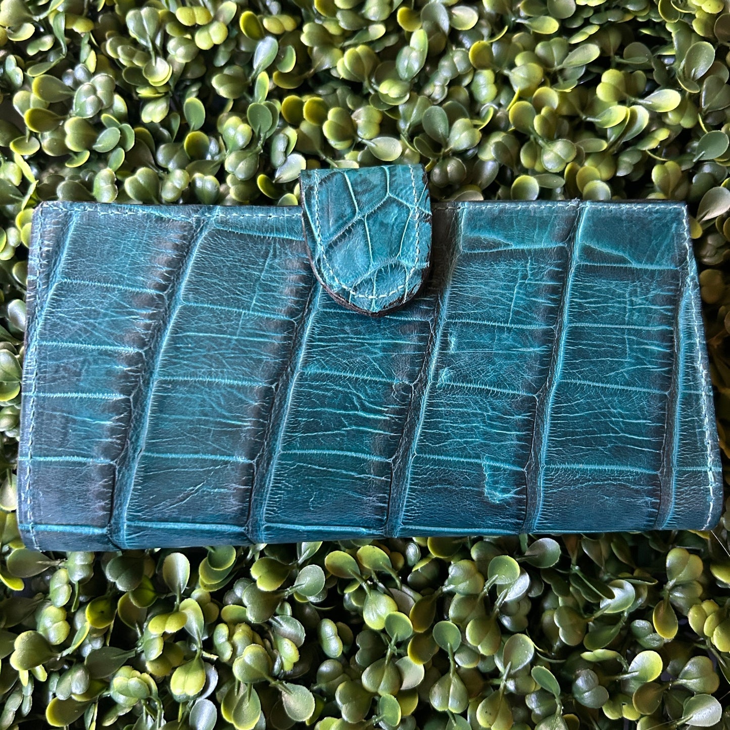 Women's Alligator  Checkbook Wallet – with Clasp Teal Color