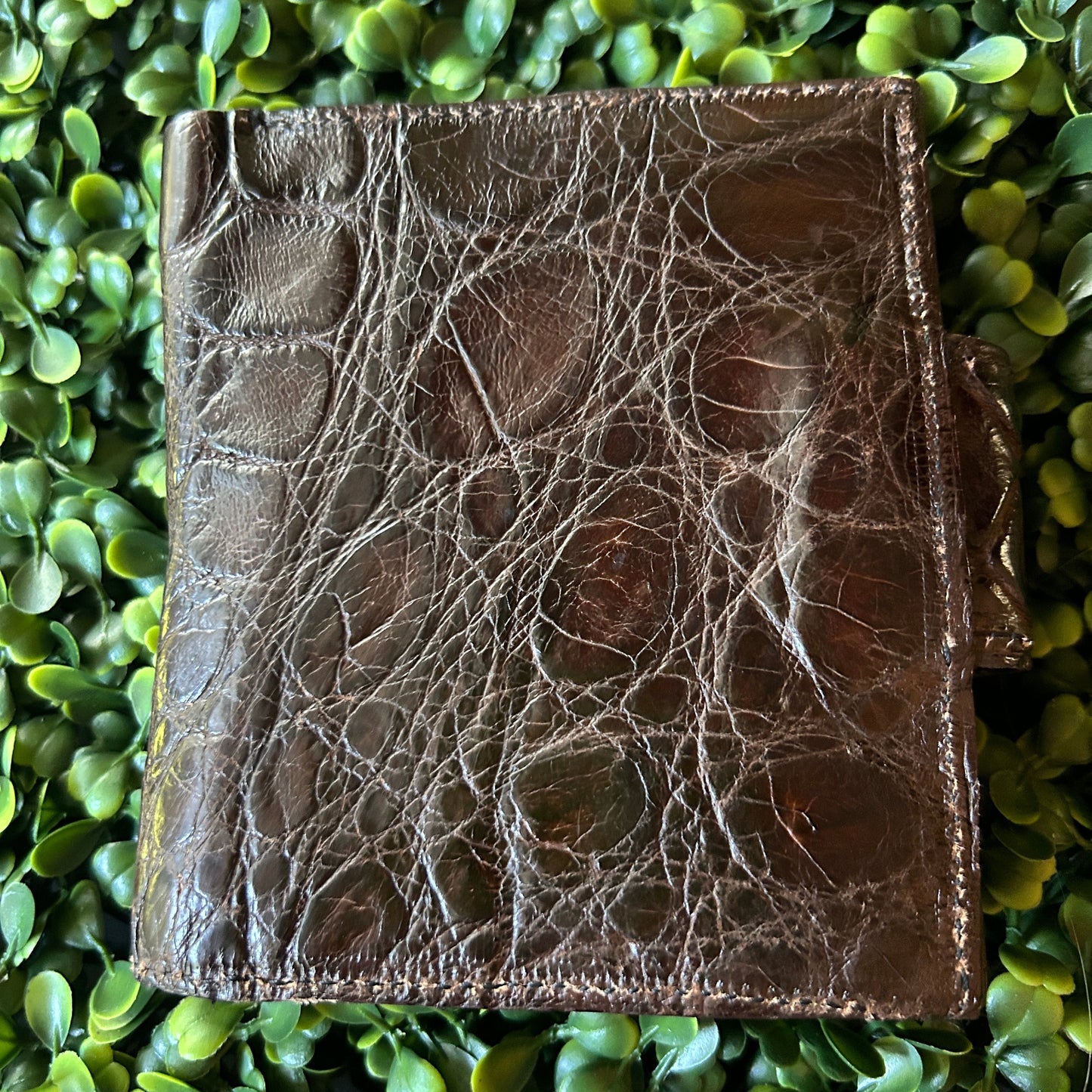 Women’s Alligator  Compact Wallet with Snap Clasp – Handcrafted in Florida (Brown)