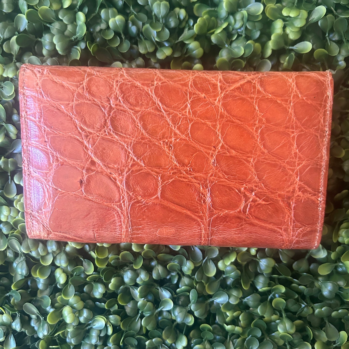 Women's Alligator Leather Wallet – Large Wallet (Tan)